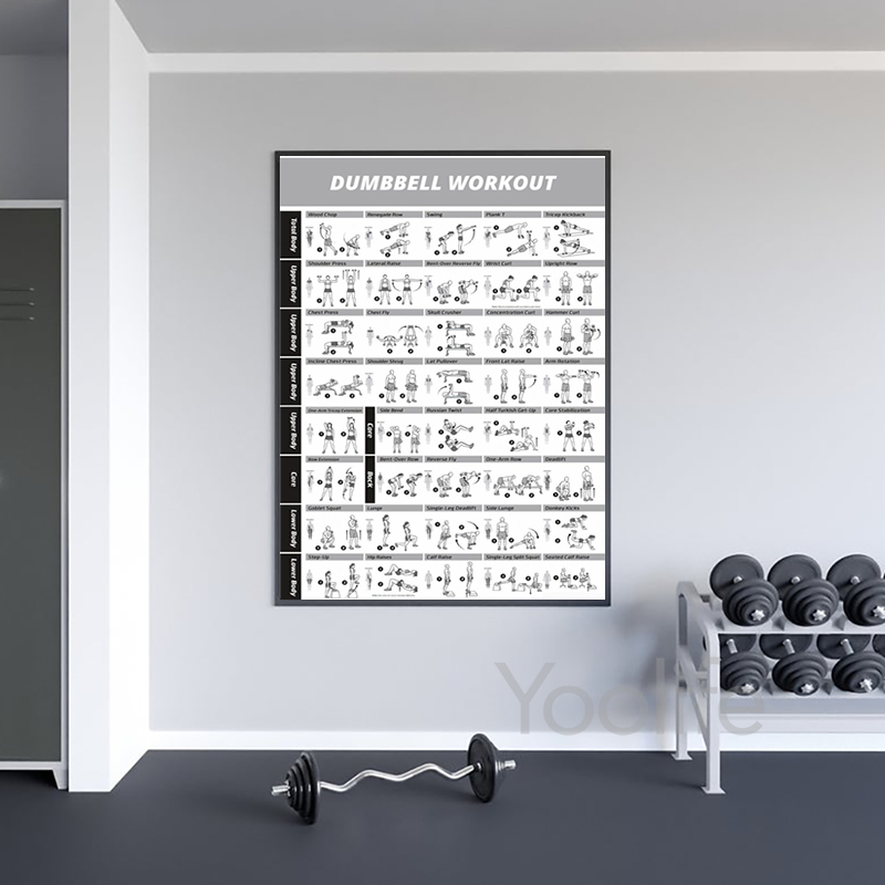 โปสเตอร์แผนการออกกำลังกาย ภาพพ - Sports Equipment Poster บทวิจารณ์และราคา